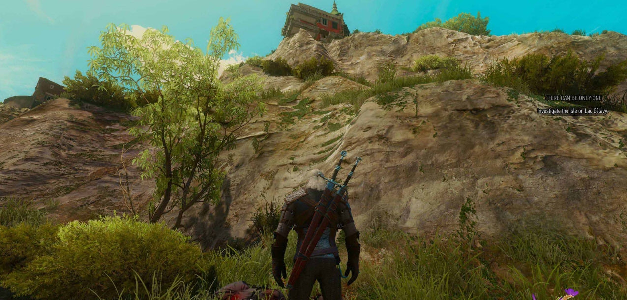 巫师3尸体不刷新MOD v1.57