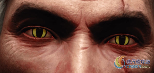 巫师3绿色猫眼杰拉特MOD v1.55