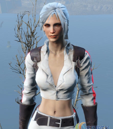 辐射4Nuka女孩太空服MOD v1.40