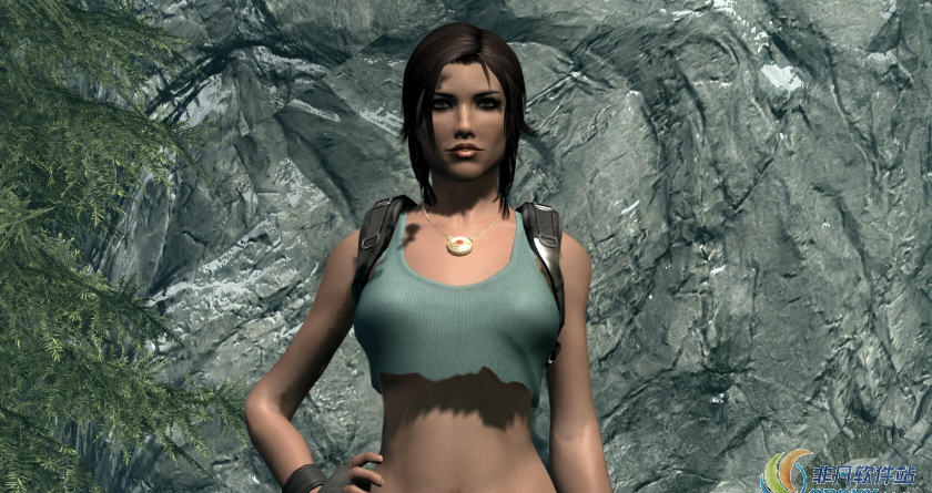 上古卷轴5劳拉面部预设MOD v2.54