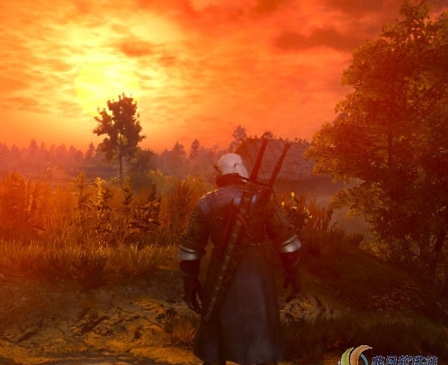 巫师3禁用肢解和慢动作动画MOD v2.44