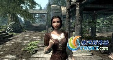 上古卷轴5流氓小偷拉里纳随从MOD v2.05