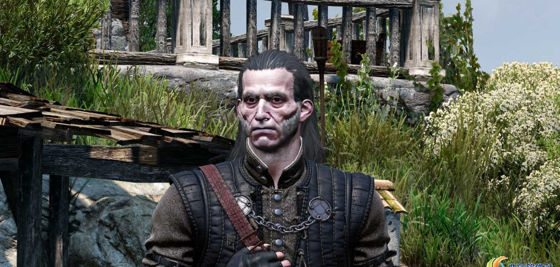 巫师3长发瑞吉斯MOD v2.58