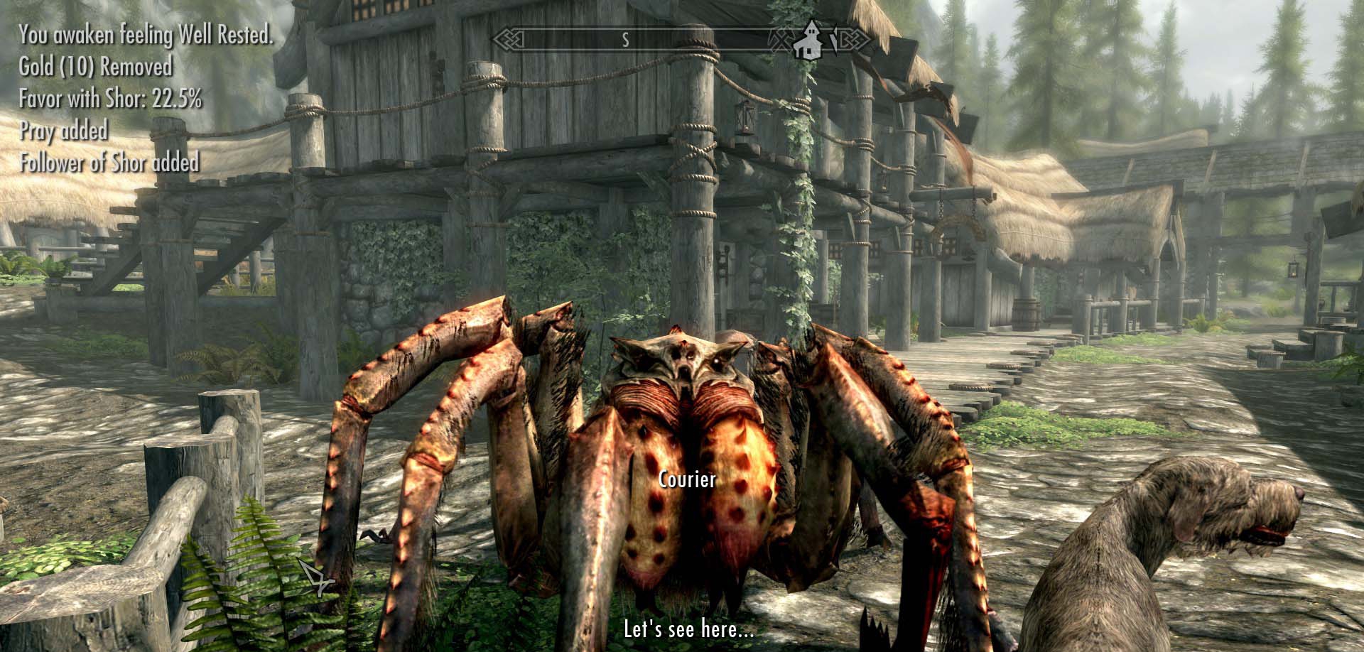 上古卷轴5冻伤蜘蛛快递员外观MOD v1.48