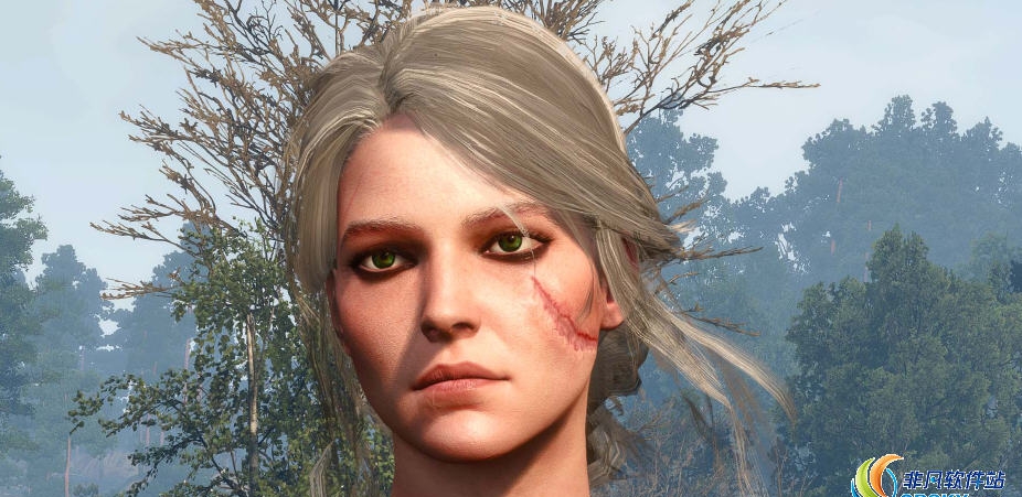 巫师3希里灰白头发MOD v1.93