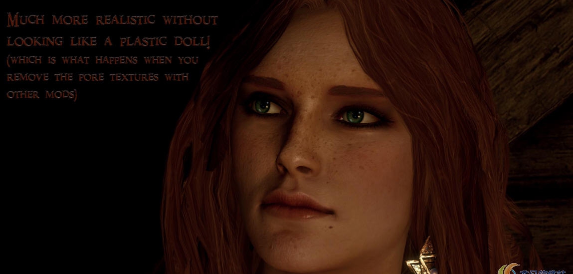 巫师3皮肤毛孔重塑MOD v1.83