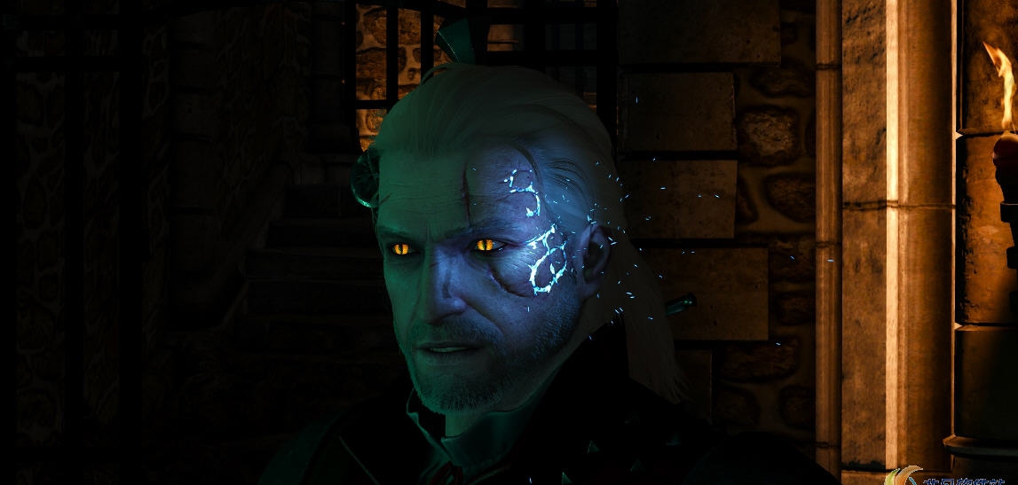 巫师3蓝色石头之心MOD v1.65