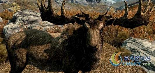 上古卷轴5野生动物价格MOD v1.104