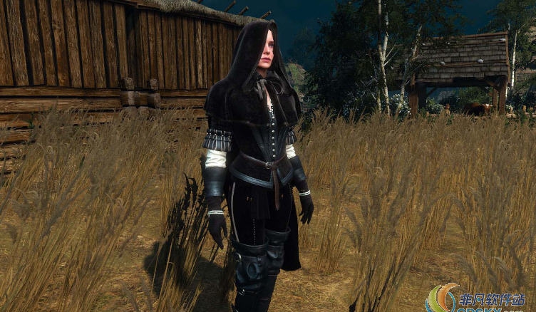 巫师3叶奈法黑色兜帽MOD v1.62