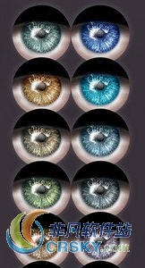 模拟人生4男士美丽眼睛MOD v2.28