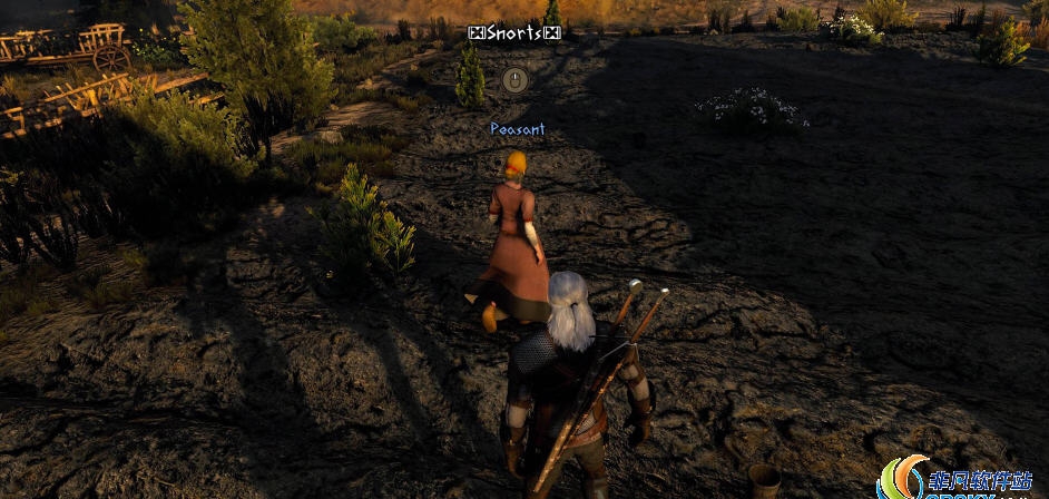 巫师3隐藏音效字幕MOD v2.07