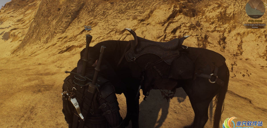 巫师3黑色奖杯袋MOD v1.84