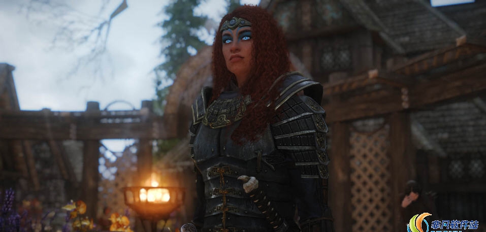 上古卷轴5非常实用的女剑甲MOD v1.82