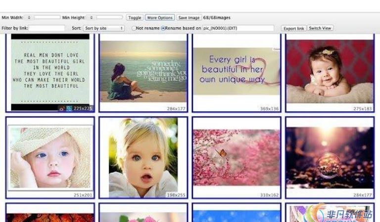 Fatkun(图片批量下载) for Chrome v5.5.10
