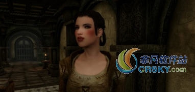 上古卷轴5自制餐错误修复MOD v2.49