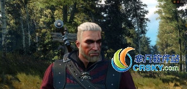 巫师3杰洛特维京人发型MOD v1.91