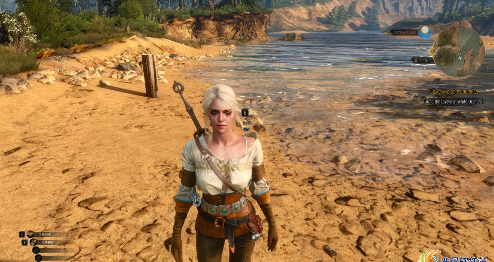 巫师3高品质的头部MOD v2.32