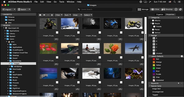 ACDSee Photo Studio for mac v6.2.1687