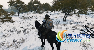 骑马与砍杀2逼真的马匹大小MOD v1.80