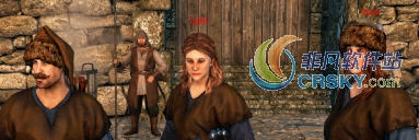 骑马与砍杀2更逼真的毛发颜色MOD v1.43