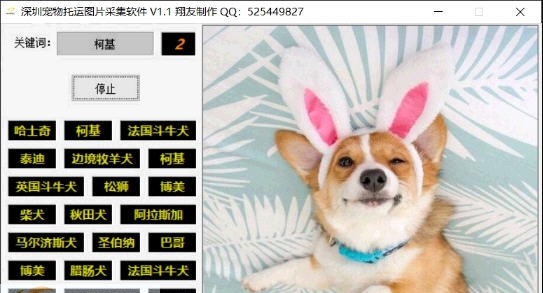 深圳宠物托运图片采集软件 v1.6
