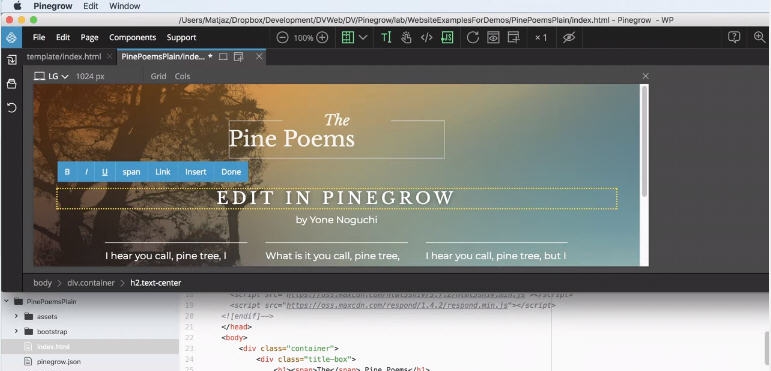 Pinegrow Web Editor for Mac v5.99