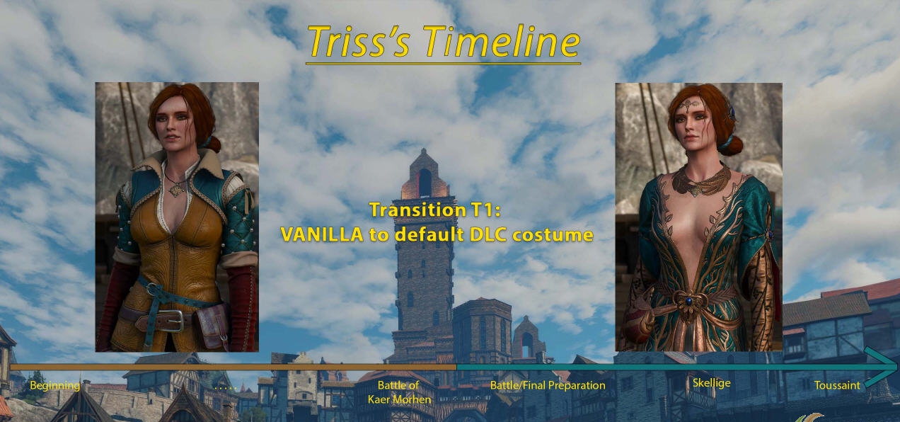 巫师3动态的特莉丝服装mod v1.61