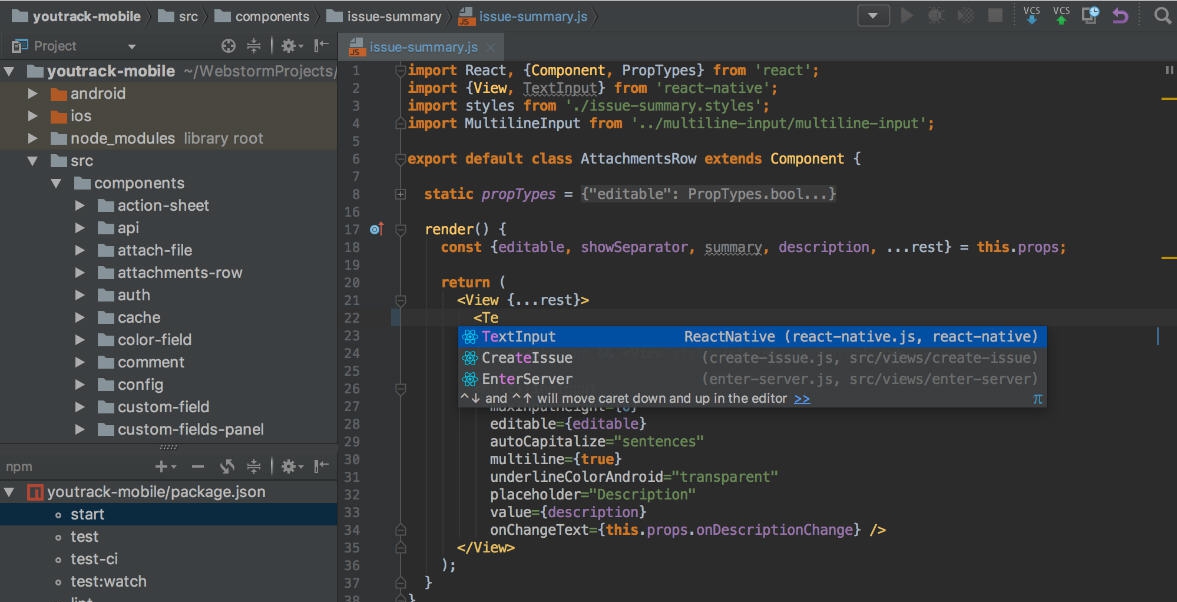 WebStorm for Mac v2020.1.7