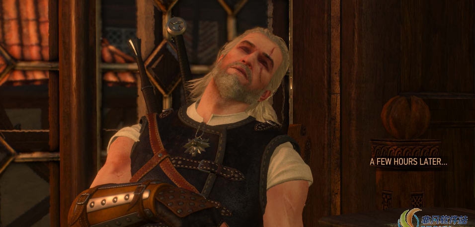 巫师3人物不会醉酒mod v1.56