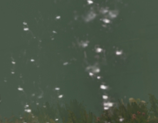 七日杀更多水中动态效果MOD v1.67