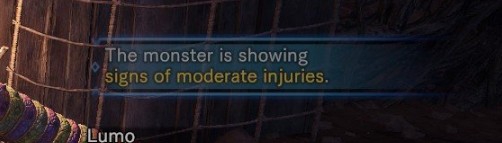 怪物猎人世界怪物血量提示mod v2.22