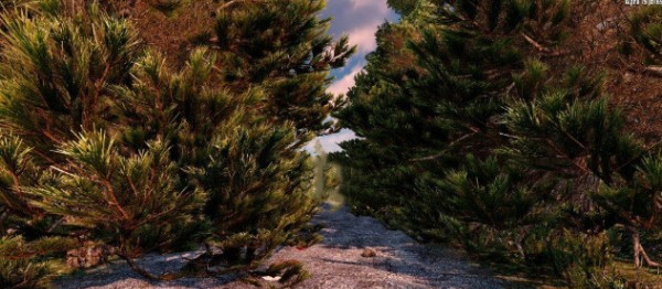 七日杀树木快速生长MOD v3.94