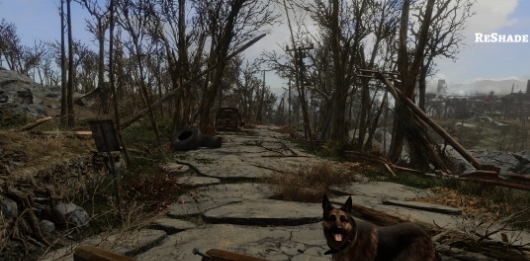 辐射4图像模糊修复MOD v3.22