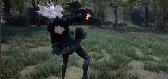 上古卷轴5重制版徒手力量攻击动画MOD v1.53