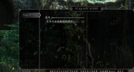 上古卷轴5重制版性感受伤语音MOD v3.61