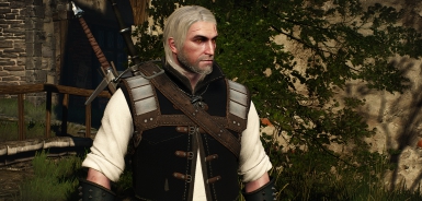 巫师3狂猎重塑狼盔甲MOD v3.20