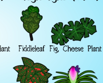 环世界室内植物v1.2MOD v2.13