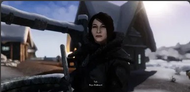 上古卷轴5重制版高聚NPC大修泰伦加德MOD v2.10