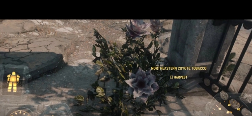 辐射4受沙漠启发的食品饮料和物品MOD v1.40