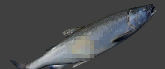 求生之路2咸鱼突刺武器MOD v3.4