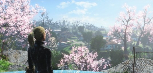 辐射4简单的马尾辫发型MOD v3.61