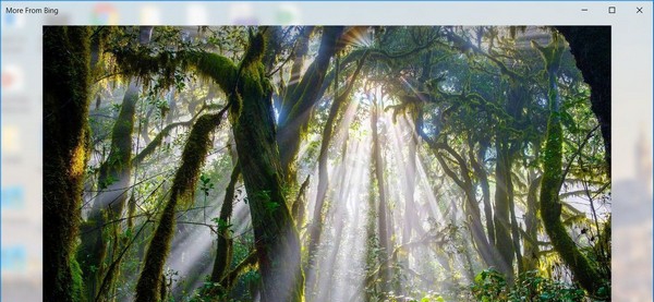 Windows Spotlight Tools(Win聚焦工具) v1.7.7