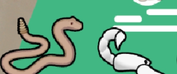 环世界沙漠动物扩展v1.2MOD v3.66