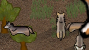 环世界红狼v1.2MOD v1.77