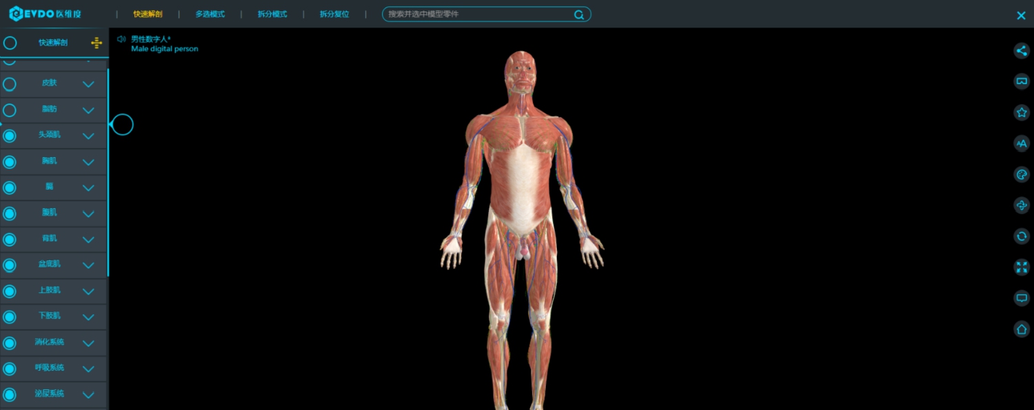 医维度3D解剖软件 V1.0.5