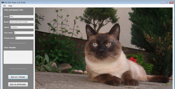 CAT CPU Tester(CPU检测工具) v1.8