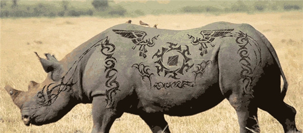 Aescripts Lockdown包裹曲面跟踪替换AE插件 v1.5.10