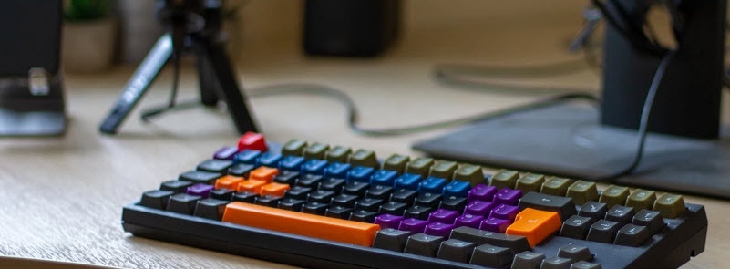 Pet32位/64位版(取代鼠标光标) v2.7