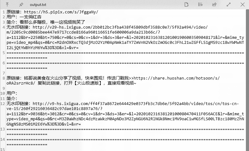 皮皮虾快手短视频无水印解析工具 v1.5