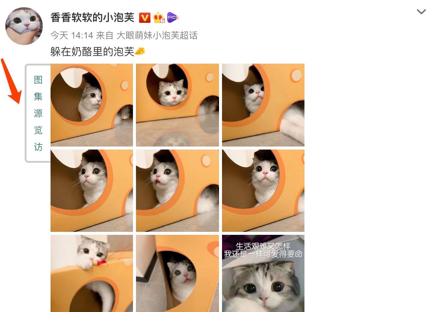 新浪微博之我要看大图插件 v1.3.2.11